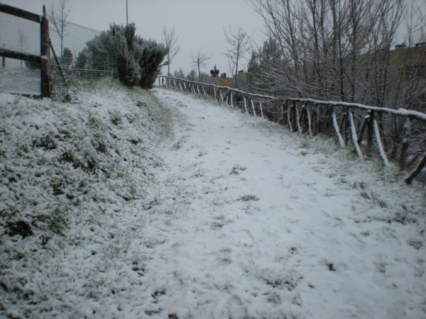 28/12/2008