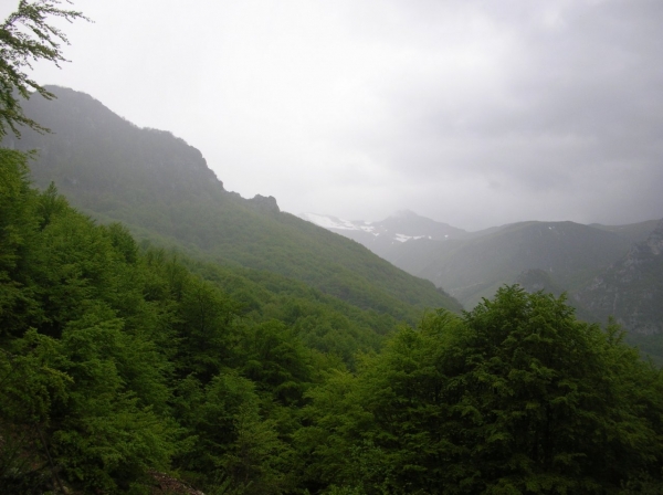 Dscn2223