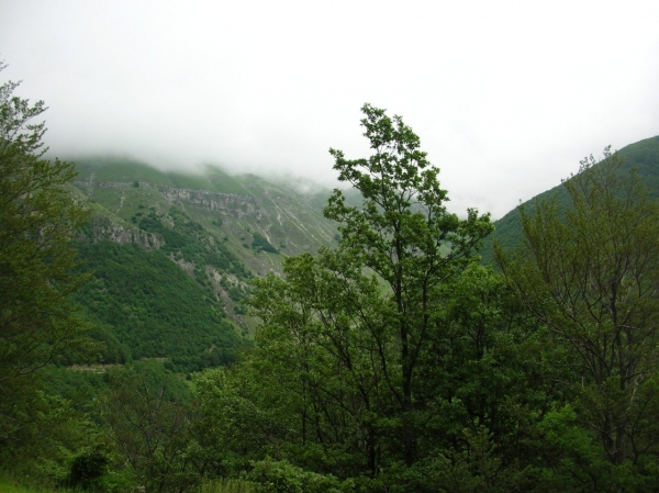 Dscn2308