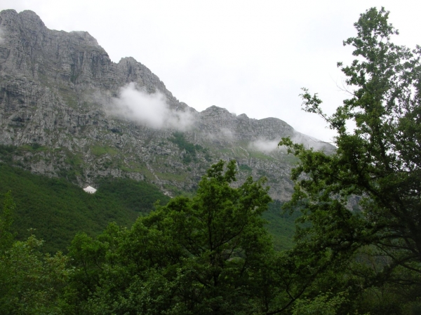 Dscn2309