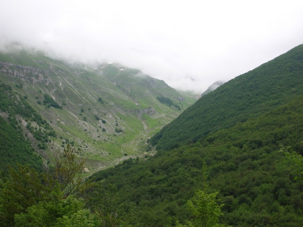 Dscn2310