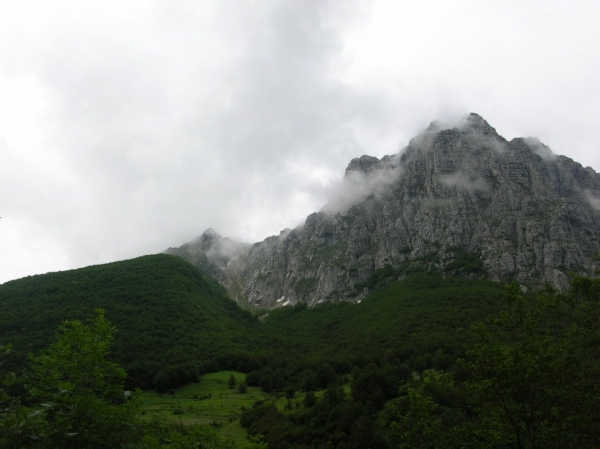 Dscn2311