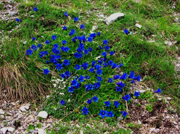 Dscn2318