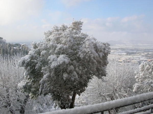 Dscn3344