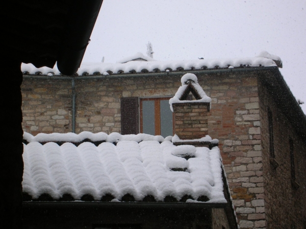 Dscn3351