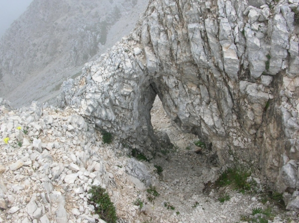 Dscn3600