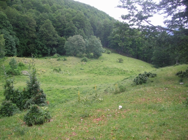 Dscn3618