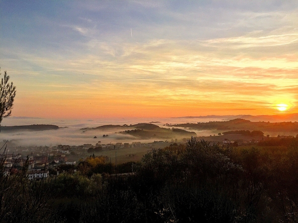 La Magia Della Nebbia Al Tramonto
