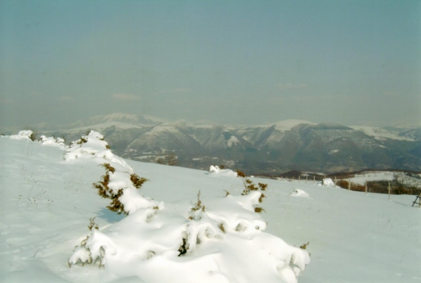 M.subasio-marzo 2005