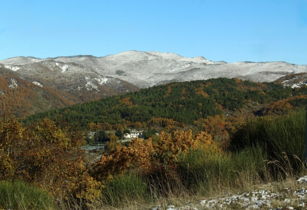 Mix bellissimo di colori col Falcone protagonista