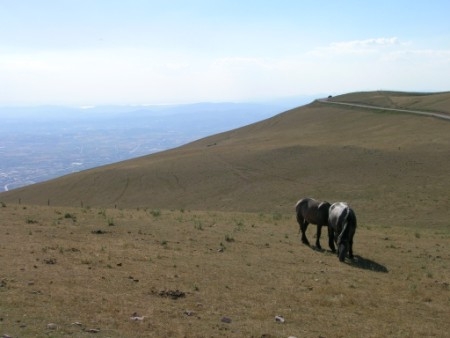 Monte Subasio - giugno 2005