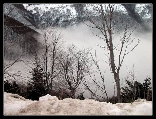 Nebbia