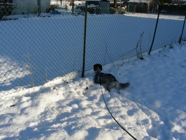 Neve Foligno 16 Dicembre 2007