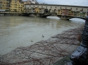 Ultima Immagine