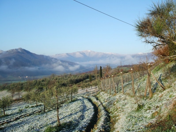 Verso Ovest