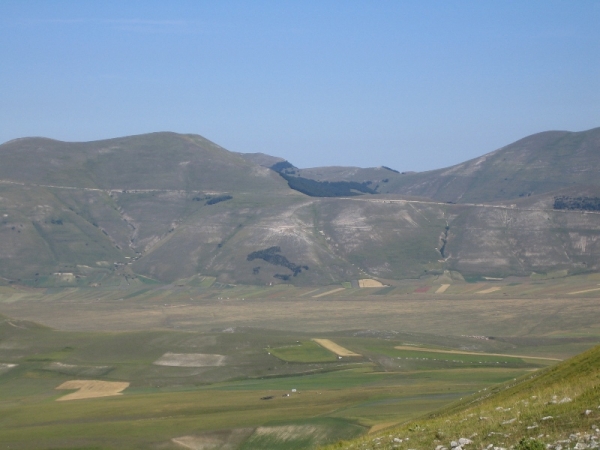Vettore