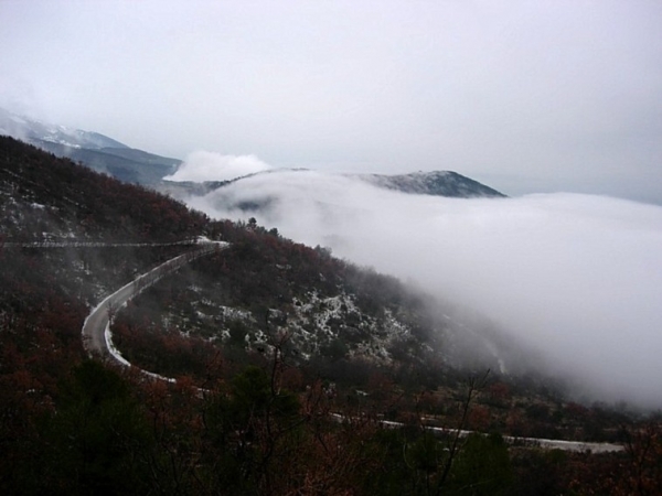 Visione dantesca